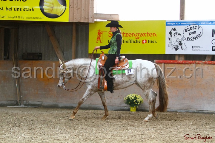 31-ApHC OWP_017.jpg